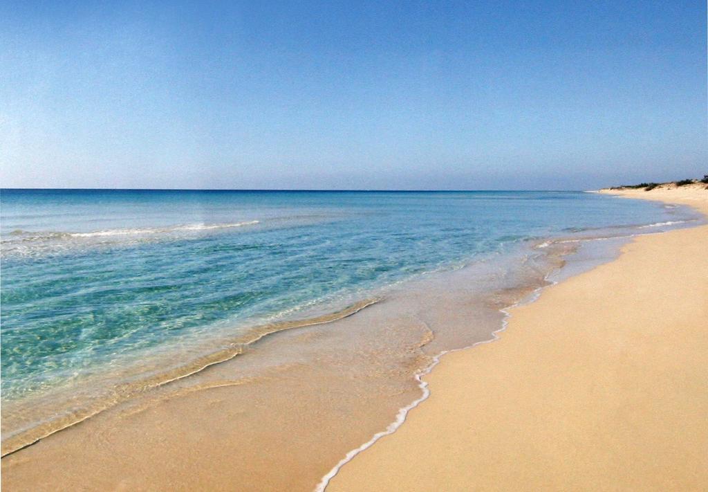 Torre Pali B&B Brezza Marina المظهر الخارجي الصورة